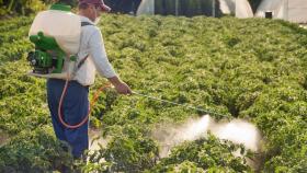 Минсельхоз отменил повышение стоимости регистрации пестицидов